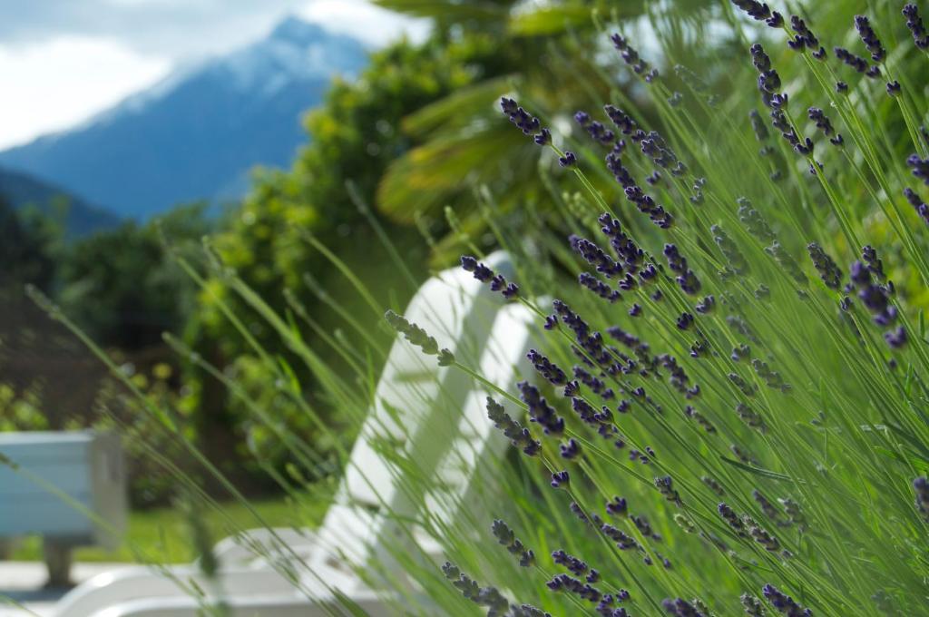 Hotel Schoenbrunn Merano Exterior photo